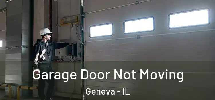  Garage Door Not Moving Geneva - IL
