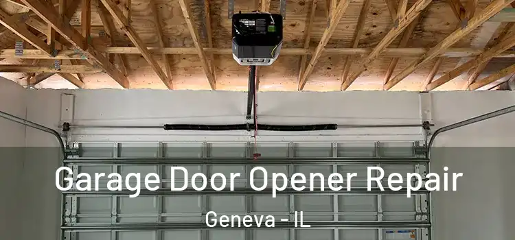  Garage Door Opener Repair Geneva - IL