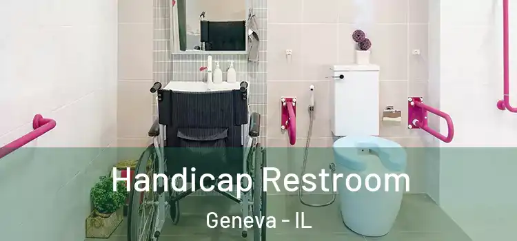  Handicap Restroom Geneva - IL
