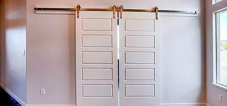 Glass Barn Door with Installation Hardware Kit Geneva