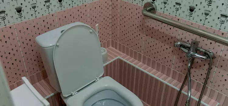 Meeting Diverse Needs With Accessible Restroom Solutions in Geneva, IL