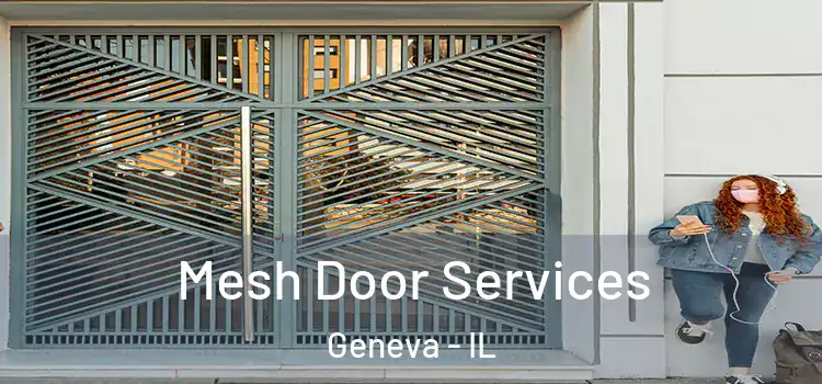 Mesh Door Services Geneva - IL