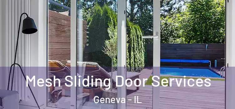  Mesh Sliding Door Services Geneva - IL